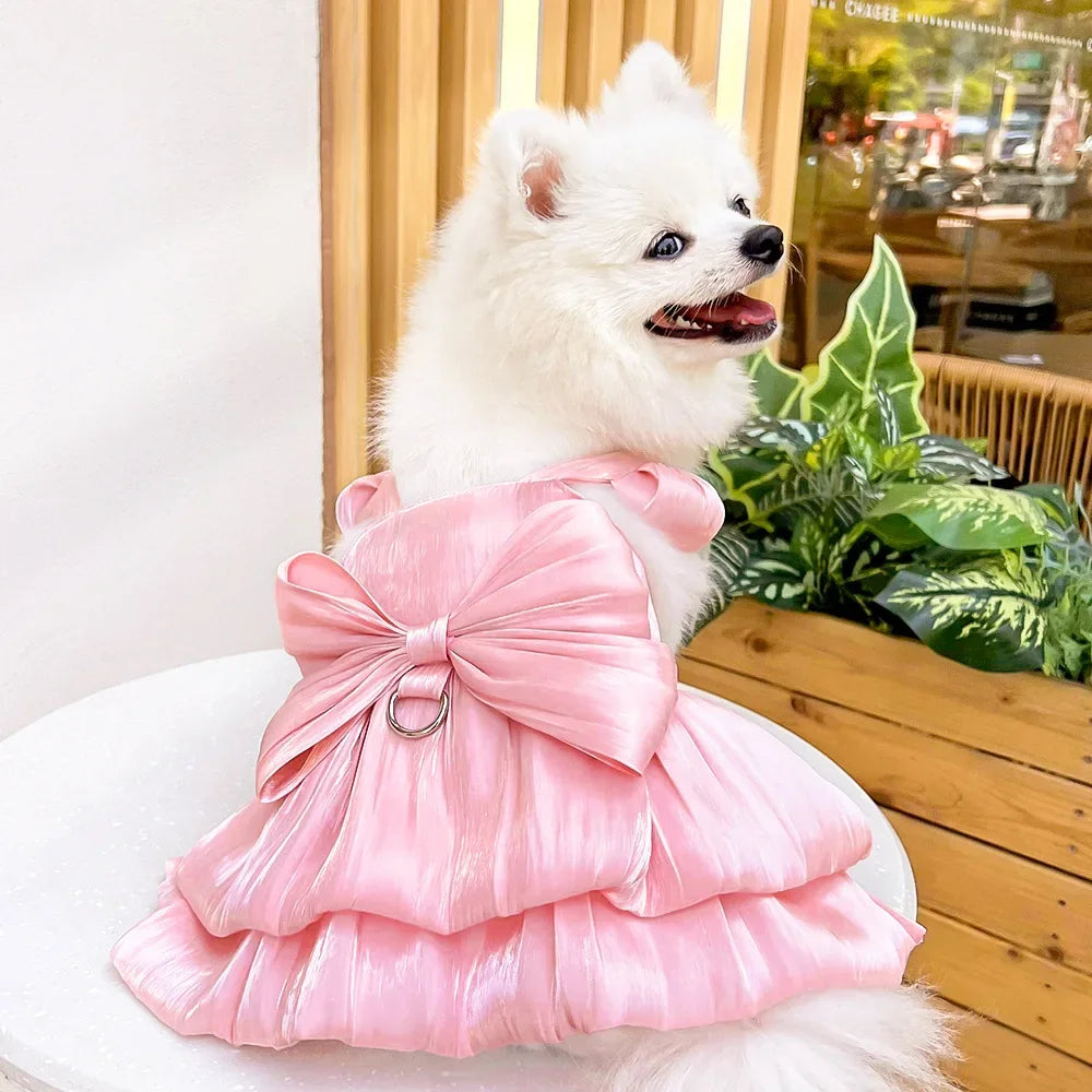 Ein flauschiger weißer Hund in einem rosa Seidenkleid mit einer großen Schleife, sitzend neben einer Holzbox.