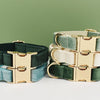 Velvet Adjustable Dog Collar, Leash and Harness Set