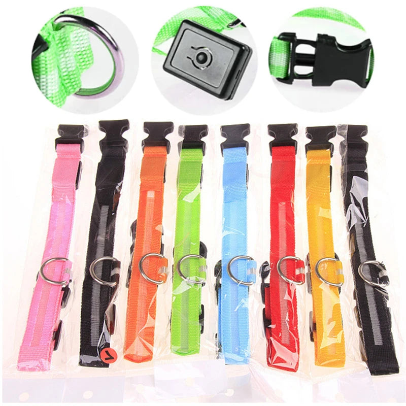 USB Charging Glowing Dog Collar with Pendant - Night Safety
