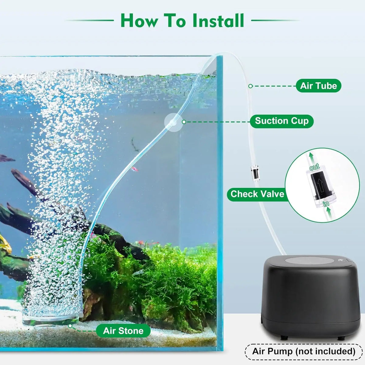 Acrylic Aquarium Bubbler Kit – Silent Oxygen Diffuser