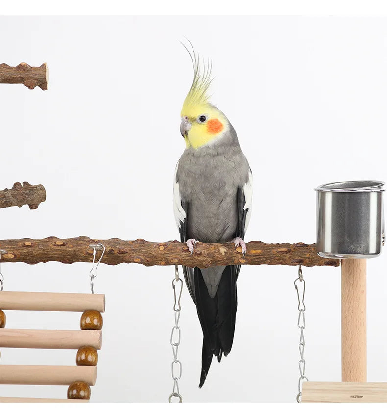 منصة ببغاء من خشب الفلفل مع جسر تأرجح وتسلّق