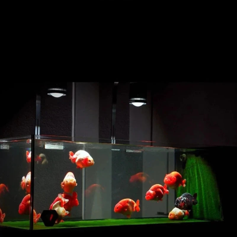 Clip-On LED Aquarium Light for Freshwater Fish Tanks