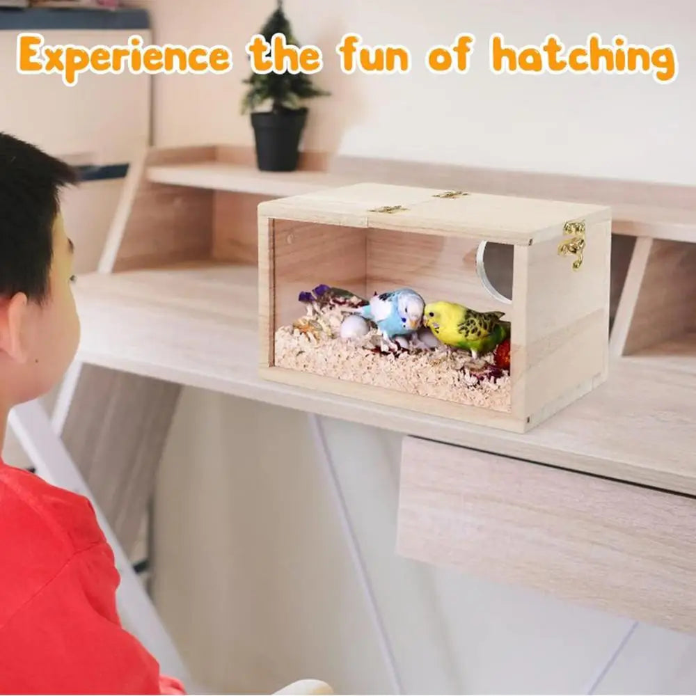 Natural Wood Bird Nesting Box with Viewing Window