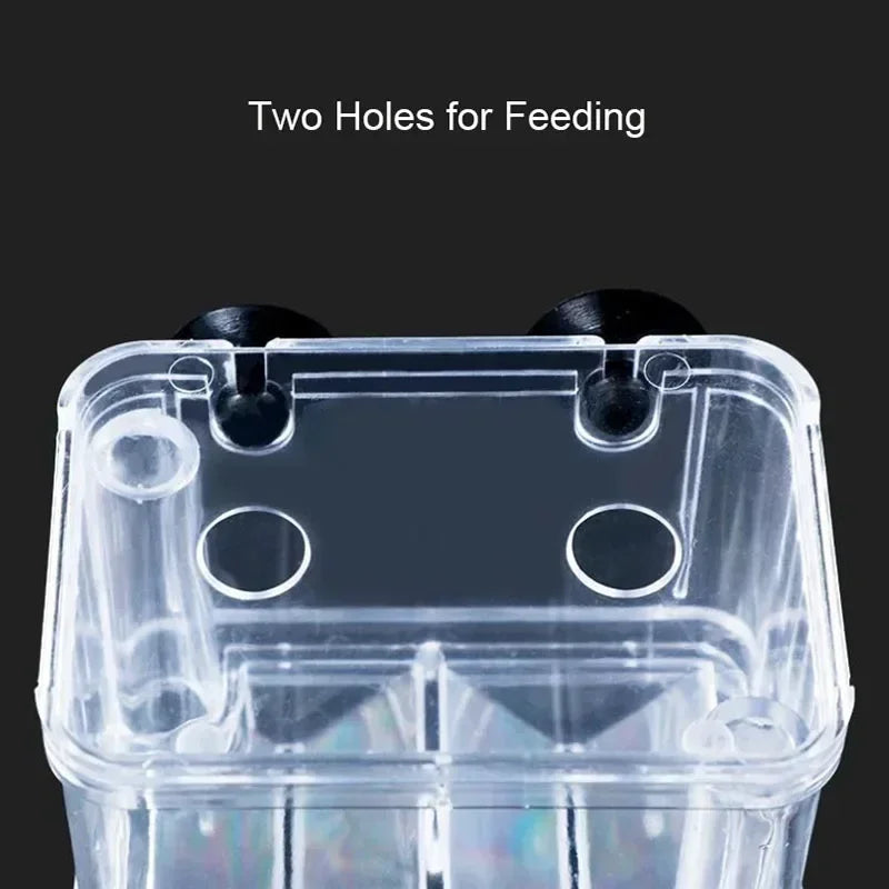 Acrylic Fish Breeding Isolation Box with Double Compartments