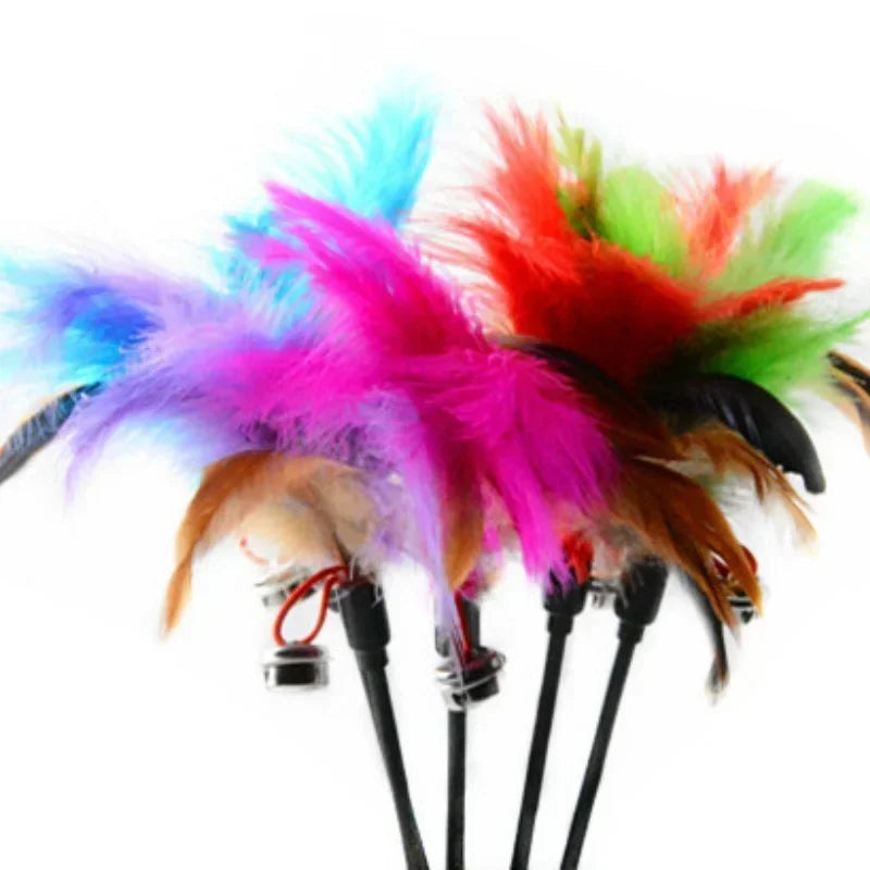 Interactive feather wand cat toy featuring colorful feathers like blue, pink, and green.