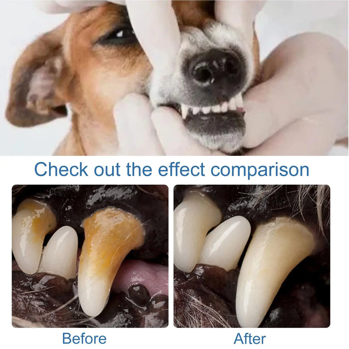 Natural Dental Care Foam for Dogs – Tartar Remover & Fresh Breath Solution
