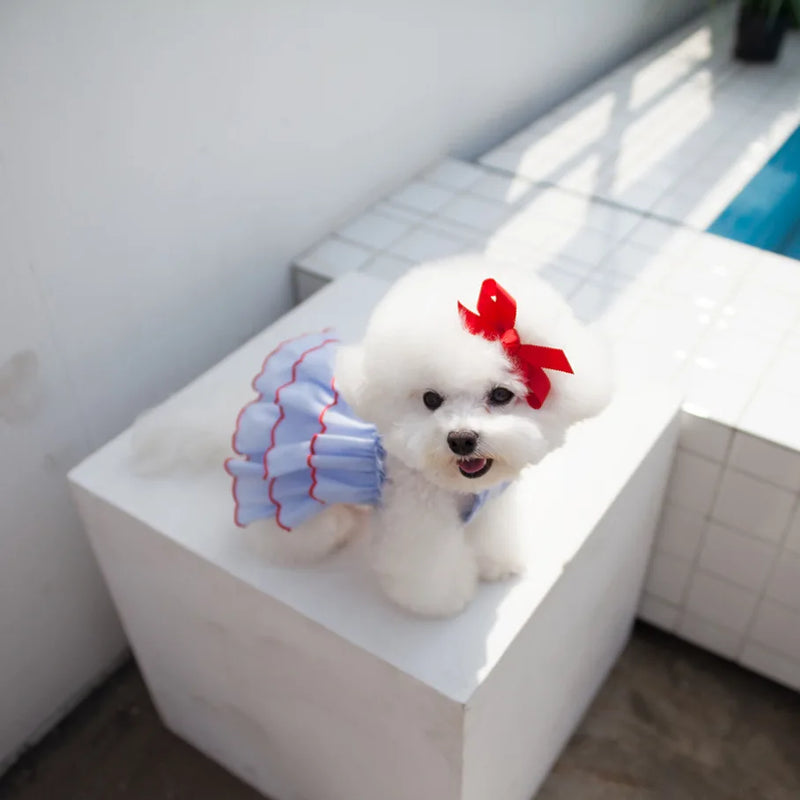 Vestido de Verano Estilo Princesa para Perros Pequeños