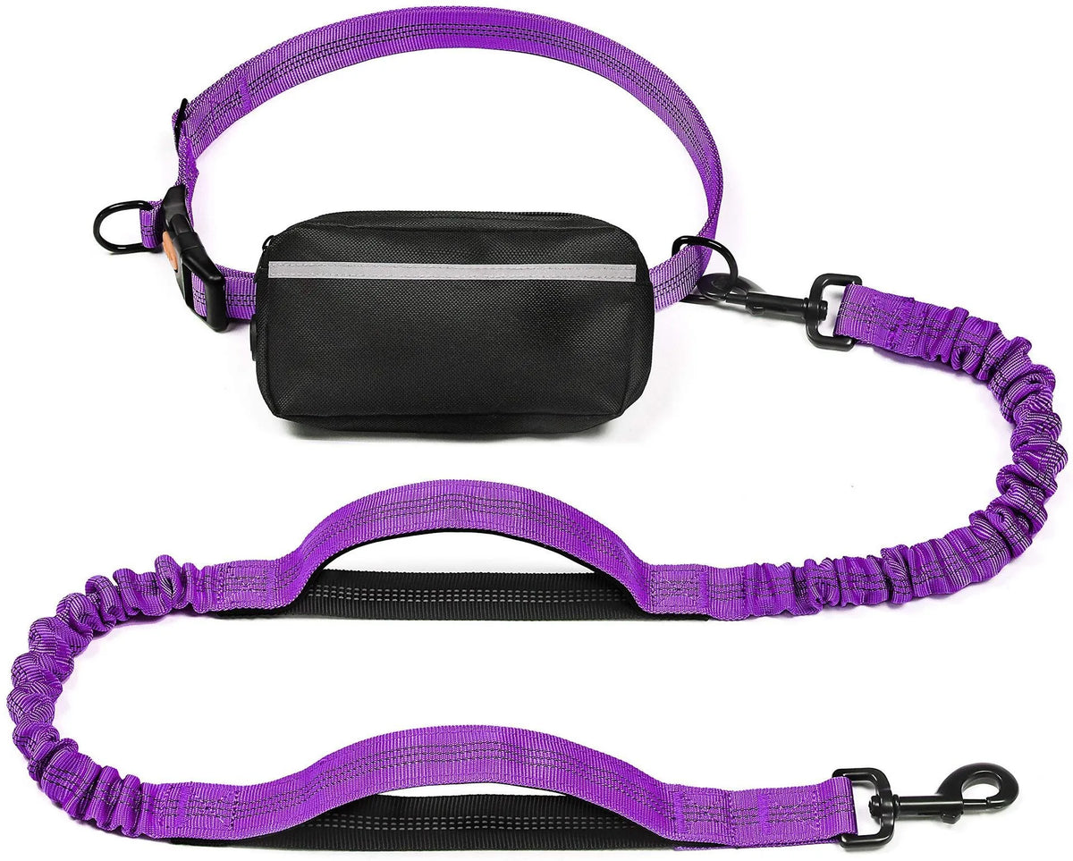 Purple retractable bungee leash and waist harness for dogs with a storage pouch