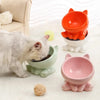 Ceramic Cat Bowl with High Feet for Pet Feeding