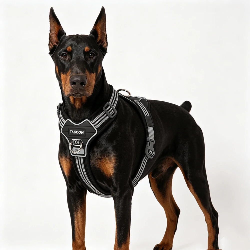 A black dog wearing a black and gray no-pull dog harness with a handle.