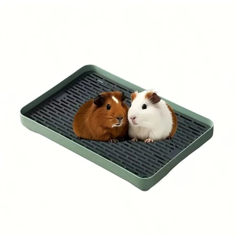Two guinea pigs sitting on a green plastic pet litter box tray