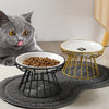 Goldrandige Keramikschale mit schwarzem Ständer auf grauem Unterlage neben einer tabby-Katze.
