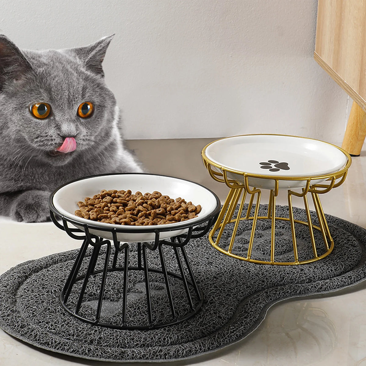 Goldrandige Keramikschale mit schwarzem Ständer auf grauem Unterlage neben einer tabby-Katze.