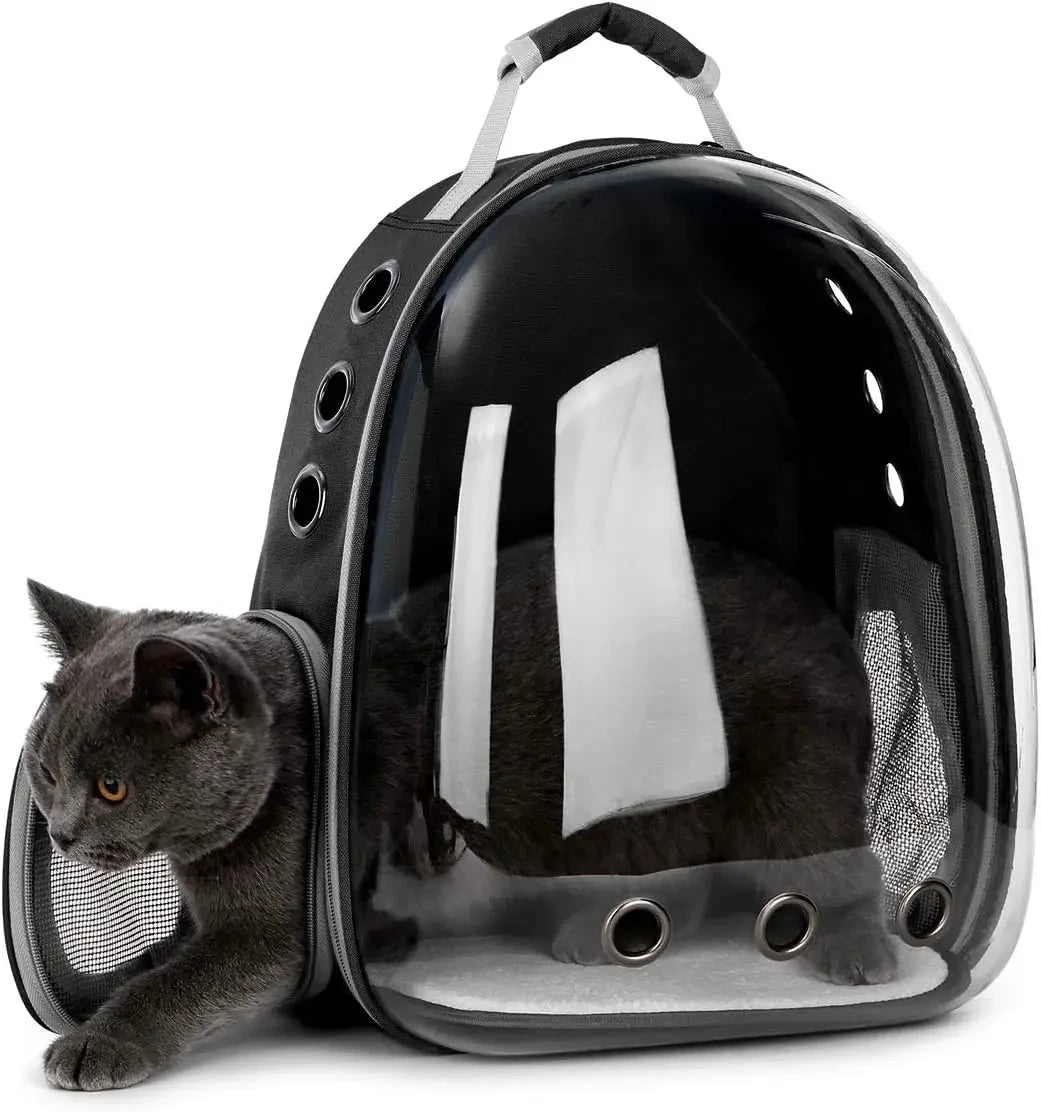 Mochila transportadora transparente negra para mascotas con fondo de malla, llevando un gatito gris pequeño.