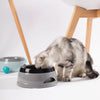 Bebedero Flotante para Mascotas