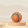 Durable Squeaky Dog Toy Ball