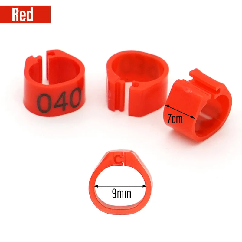 Bagues en plastique numérotées pour pattes d'oiseaux (9 mm)