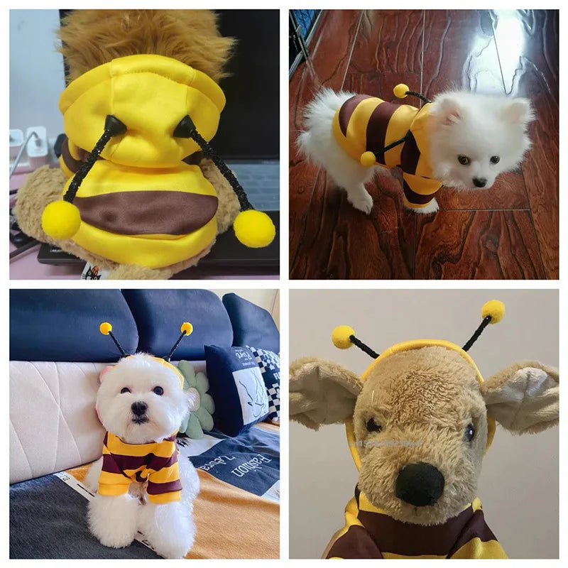 Adorable Bee Pet Hoodie for Small Dogs and Cats