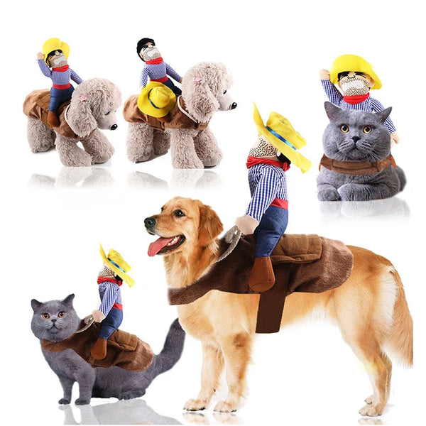 Eine Sammlung von Hunden in lustigen Kostümjacken, darunter ein Cowboy-Outfit und Halloween-Kleidung.