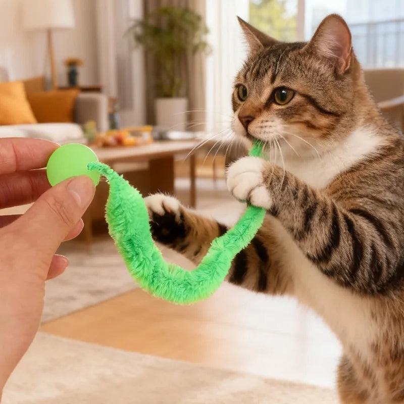A tabby cat plays with a green, flexible caterpillar toy offered by a human hand.