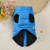 Windproof Padded Dog Coat for Small Breeds