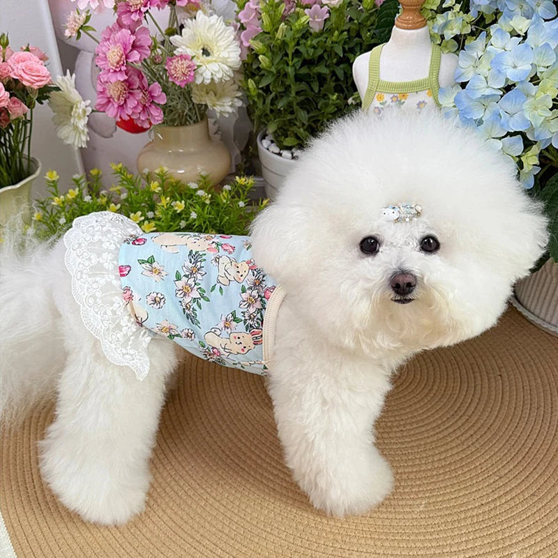 Vestido Floral de Encaje para Mascotas
