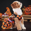 Pumpkin Lace Dog Dress for Small Dogs