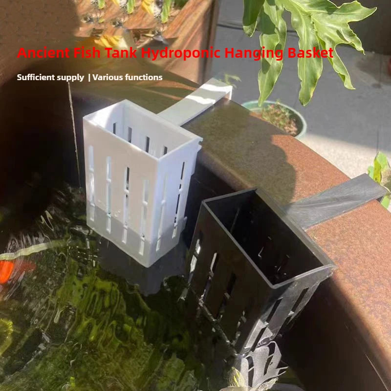 Wall-Mounted Aquarium Plant Basket with Hanging Hook