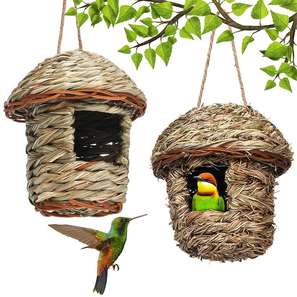 Handwoven straw bird nest hanging from a branch with a small green parrot perched inside.