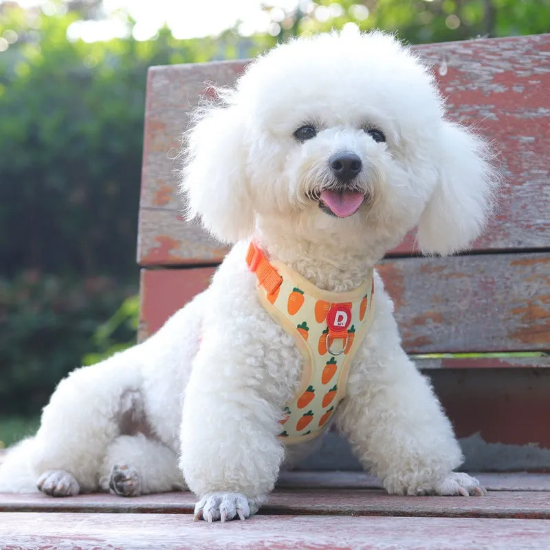 Strawberry Print Dog Harness and Leash Set