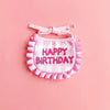 Happy Birthday Pet Party Hat and Bib Set