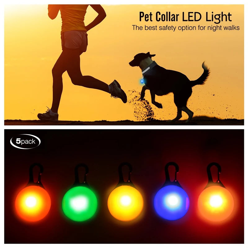 USB Charging Glowing Dog Collar with Pendant - Night Safety