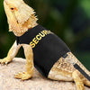 Ein goldbehaarter Dragon in einer schwarzen Sicherheitsgurte und Leine auf einem Felsen.