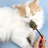 Natural Silvervine Cat Chew Sticks for Dental Care & Play