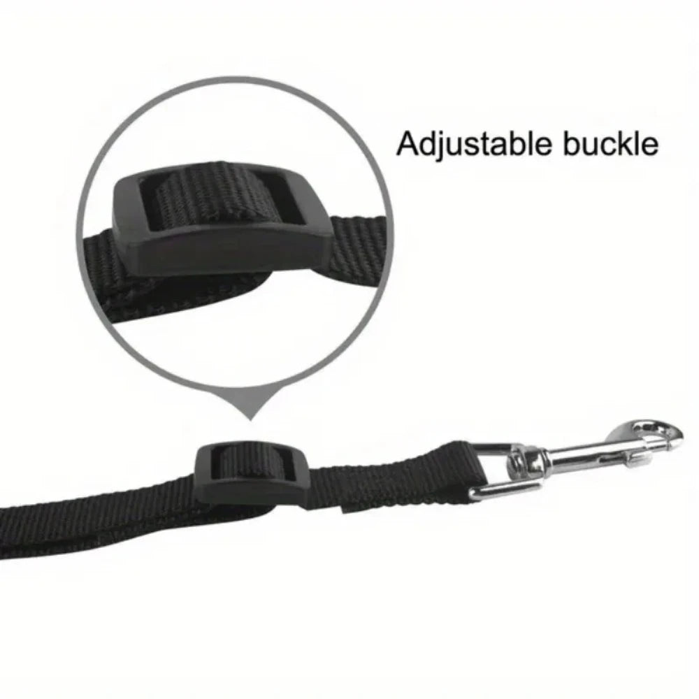 Close-up view of an adjustable buckle on a black nylon dog leash with a padded handle.