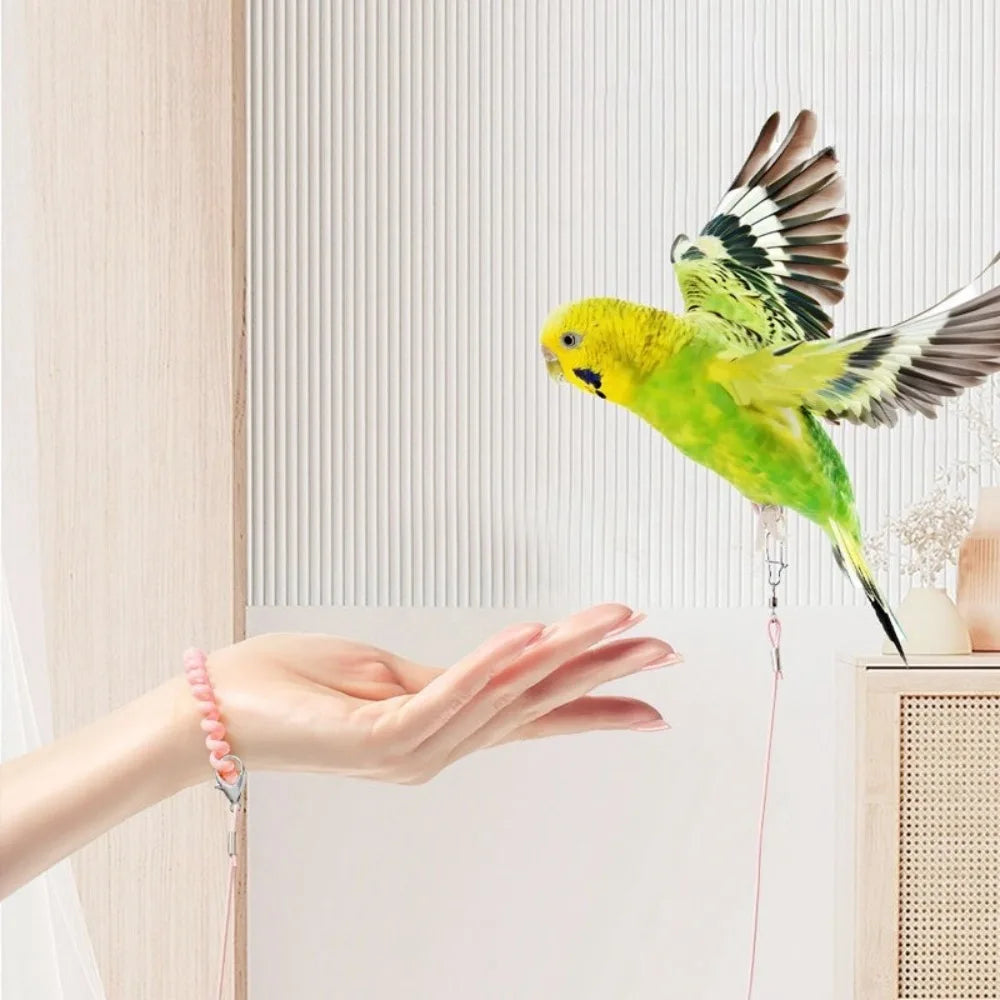Elastic Parrot Training Leash with Metal Buckle