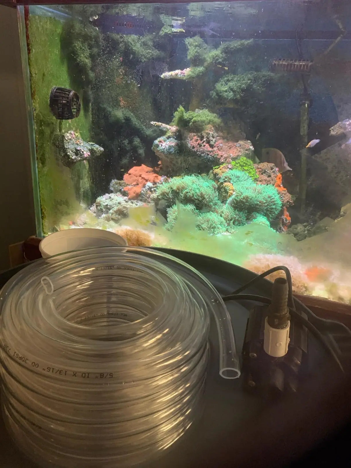 Clear PVC Flexible Water Tubing for Aquariums, Pumps, and Garden Use