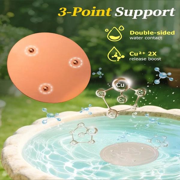 A copper bird bath disk is shown floating in water, demonstrating double-sided water contact and a Cu2+ release boost.