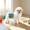 A fluffy white dog sits on a light wooden floor with a green fabric band around its belly.