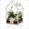 Klares Plastikterrarium in Hausform mit kleinen Pflanzen und Dekorationen.