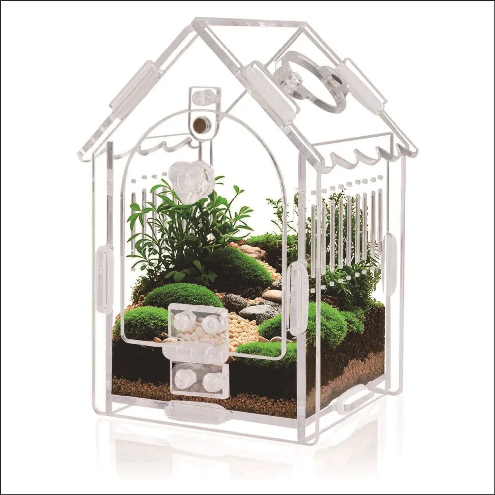 Klares Plastikterrarium in Hausform mit kleinen Pflanzen und Dekorationen.