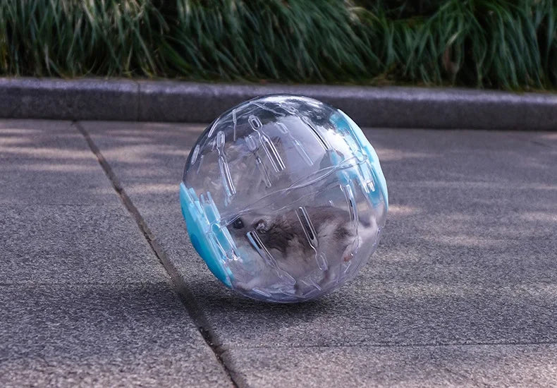 Clear Exercise Ball for Small Pets