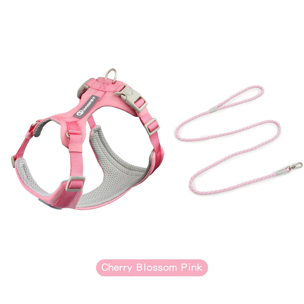 A pink adjustable dog harness and matching leash set for a dog.
