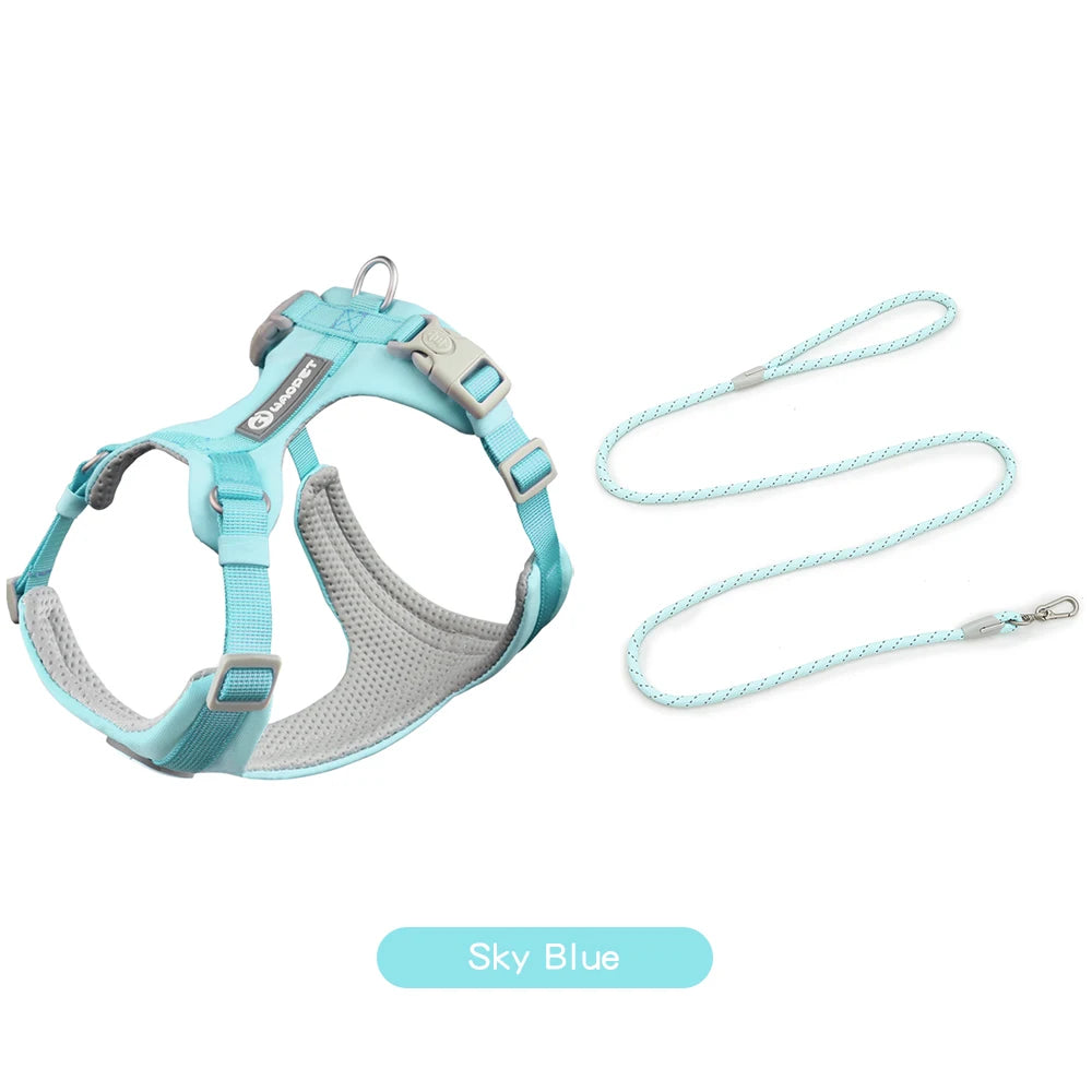 A light blue adjustable dog harness and matching leash set for a dog.