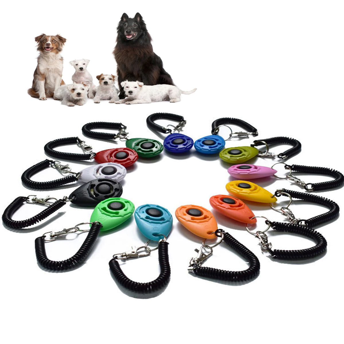 A collection of colorful pet training clickers and wrist straps arranged around a group of dogs.