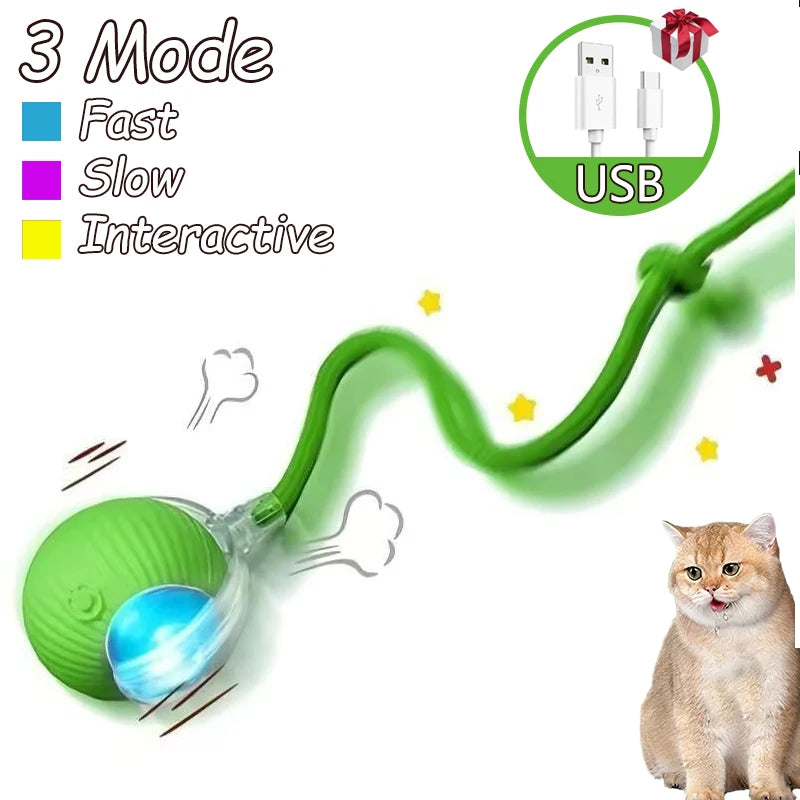 Größes grünes interaktives Spielzeug für Katzen mit USB-Verbindung, neben einer Katze.