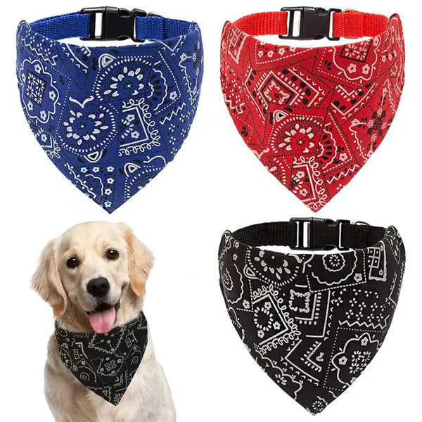 Drei Bandana-Krallen für Haustiere mit Paisley-Mustern in Blau, Rot und Schwarz an einem Hund.