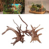 Natural Tree Trunk Driftwood Aquarium Decor for Fish Tanks