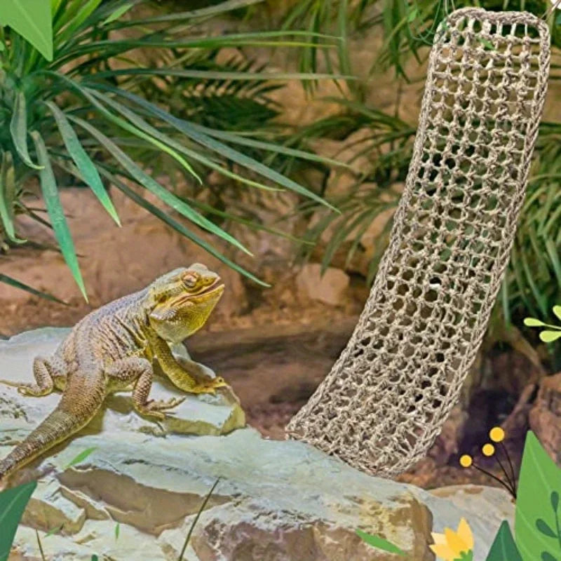 A lizard is resting on a rock in a naturalistic enclosure, near a woven reptile hammock lounger.