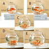 Bassin Transparent en PET pour Poisson Betta